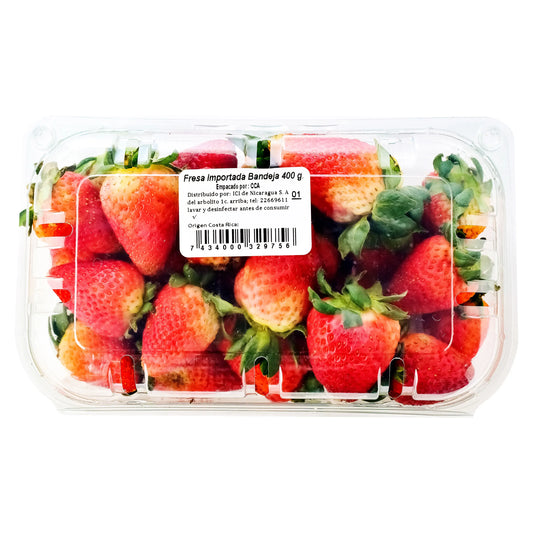Fresa Importada Bandeja Jumbo 500g